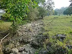 Landschaft im Municipio Palenque