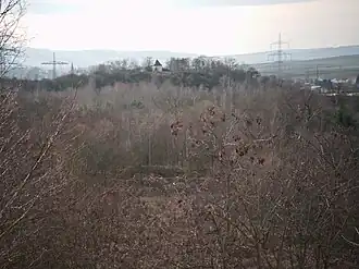 Der Palmberg mit Kapelle, von Osten. Rechts Wohnbebauung von Laumersheim, im Hintergrund Großkarlbach und der Leininger Sporn als Nordostrand des Pfälzerwalds