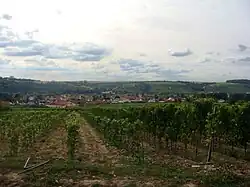 Linker Alternativtext