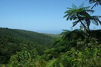 Panoramablick von den Wasserfällen des Carbet (Chutes du Carbet), Capesterre-Belle-Eau, auf Basse-Terre