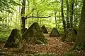 "Drachenzähne" bzw. "Höckerlinie" einer Panzersperre am Orscholzriegel (Westwall).