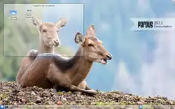 Bildschirmfoto Pardus 2011.2