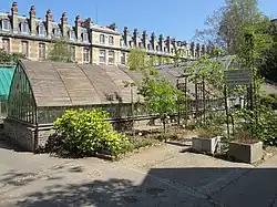 Nr. 63, botanischer Garten dieser Universitätsabteilung