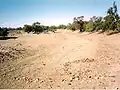 Der ausgetrocknete Paroo River bei Wilcannia NSW