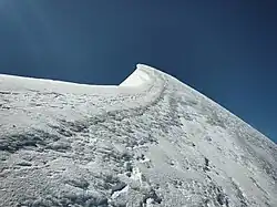 Sicht auf den Gipfel der Parrotspitze