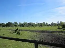 Beweidungsprojekt Heiterblick