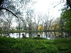 Sandbergteich (2008)