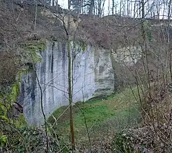 Westlicher Kerngrabenbruch