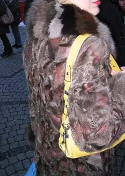 Gefärbter Persianerklauenmantel mit Fuchsstückenkragen. Die sonst immer abfallenden Persianer-Diechen wurden mitverarbeitet (2010)