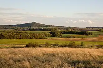 Der Petersberg aus Richtung Löbejün