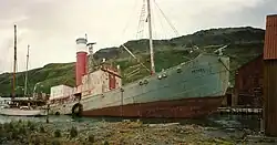 Petrel gestrandet in Grytviken (2015)