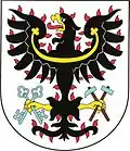 Wappen von Petrovice I