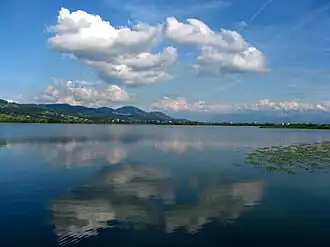 Pfäffikersee