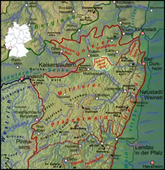 Diemersteiner Wald (aufgehellt) innerhalb des Pfälzerwalds