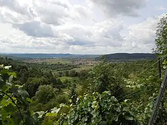 Vom Schloss Roseck aus gesehen: Rechts der Pfaffenberg, davor liegt Pfäffingen.