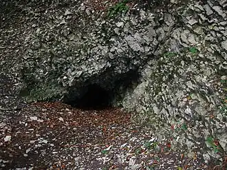 Pfaffenkammer (2004)