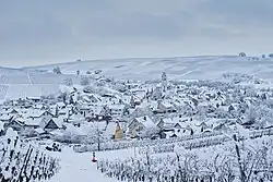 Blick auf Pfaffenweiler, Januar 2021