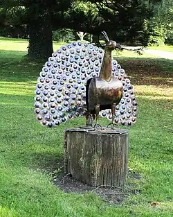 Pfau