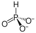 Struktur des Phosphitions