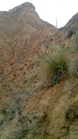 Südkante des Pico del Águila