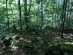 Ehemaliger Palas (Juli&nbsp;2015)