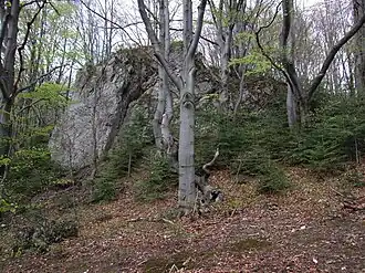 Unterhalb des Gipfelbereichs