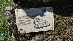 Schalenstein am Col des Planches