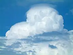 Cumulonimbus mit Pileus über dem Bodensee