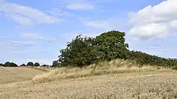 Doppelganggrab Pillemark