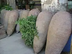 Winzereien und Weinberge der traditionellen Pisco Produktion