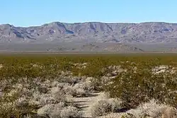 Blick vom Piute Valley auf die Piute Range