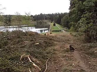 Damm und Wasserfläche des Pixhaier Teiches