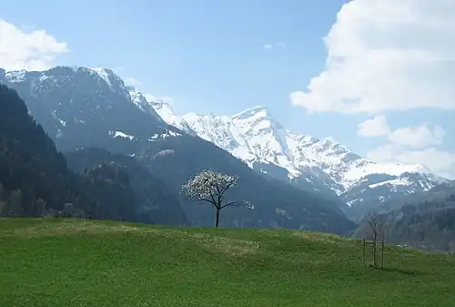 Ansicht von Sils im Domleschg.