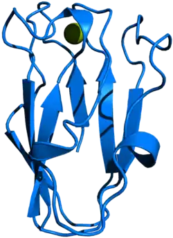 Plastocyanin (Spinacia oleracea)