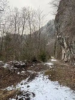 Plateau und Bahntrasse der ehemaligen Haltestation Scharfling hinter dem südlichen Tunnelportal