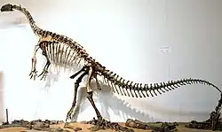 Plateosaurus engelhardti