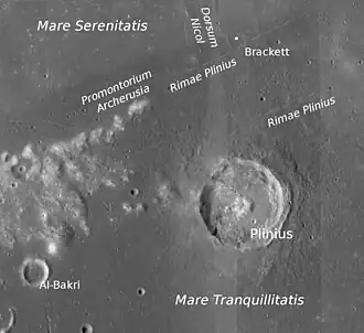 Plinius mit Promontorium Archerusia