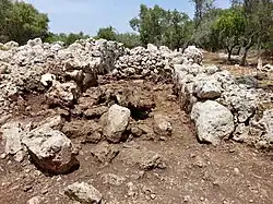 Östliche Wohnnaveta