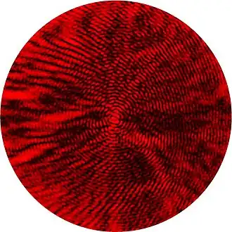 Fotografische Aufnahme des Beugungsmusters im Schatten einer Kugel mit 10 Millimeter Durchmesser in Licht eines Helium-Neon-Lasers mit einem Poisson-Fleck in der Mitte.