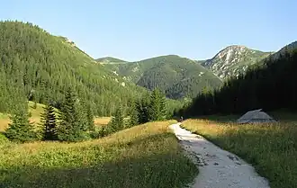 Blick von der Alm Polana Jaworzynka