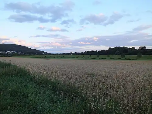 Blick von Nordwesten in den Polder Schefferfeld (2011)