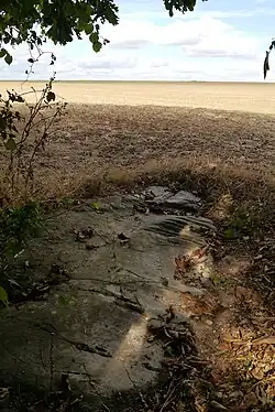 Polissoir von Grimery