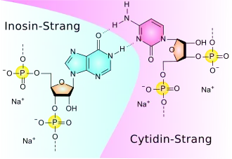 Strukturformel von Poly I:C