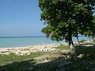 Küstenlandschaft im Arrondissement Port Salut