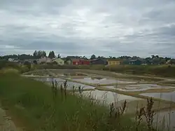 Die Salzfelder von Port des Salines