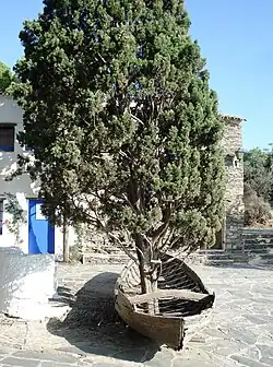 Zypresse im Boot von Salvador Dali vor dem Museum