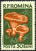 Briefmarke aus Rumänien, 1958