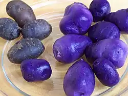 Gekochte Kartoffeln (Vitelotte)