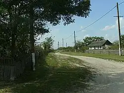 Dorfeingang Letea, 2010