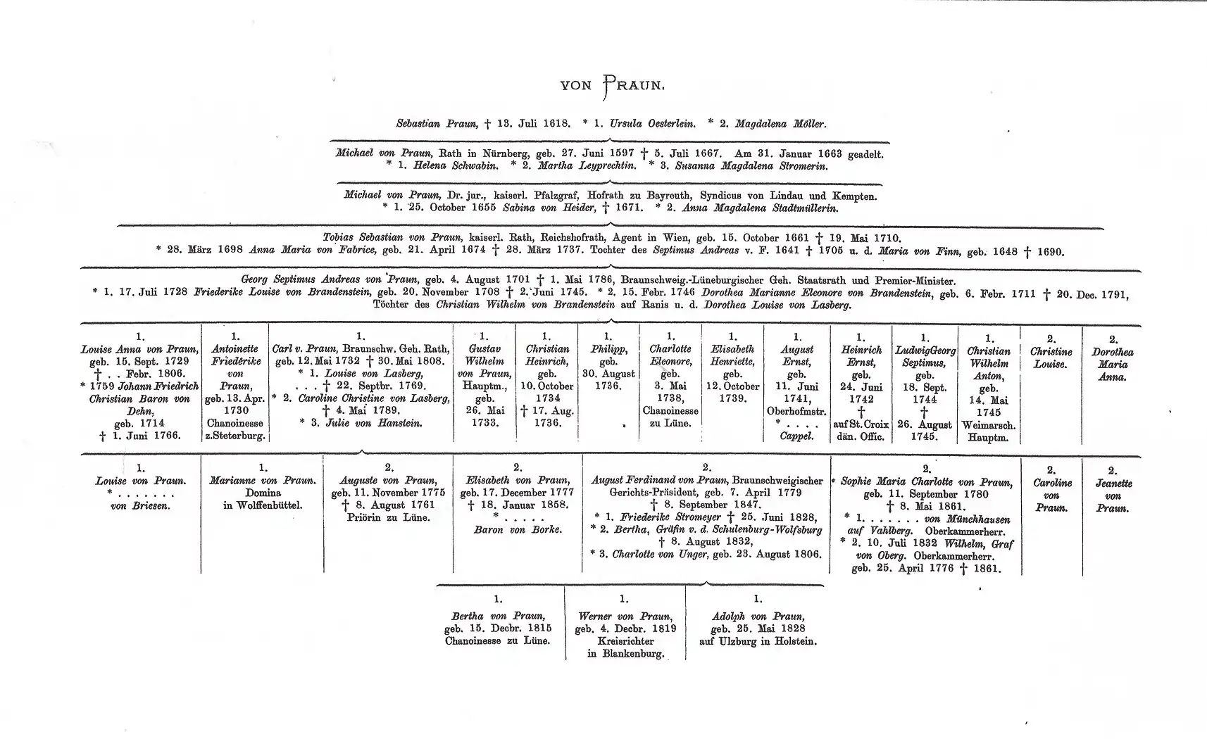Praun'sche Stammtafel der jüngeren Linie